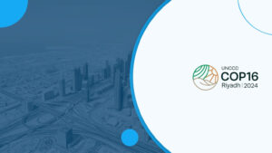 Riyadh Agenda Gains Momentum at UNCCD COP16