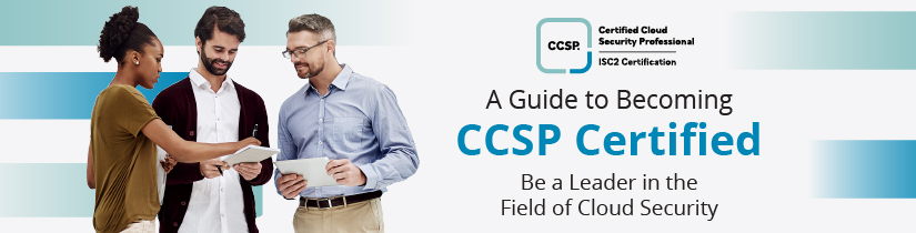 The Ultimate Guide to the CCSP