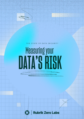 The State of Data Security: Measuring Your Data’s Risk