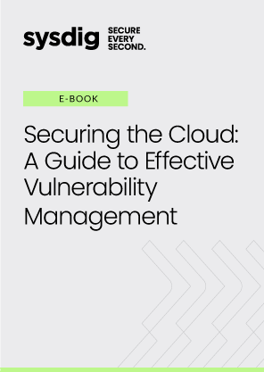 Securing the Cloud: A Guide to Effective Vulnerability Management