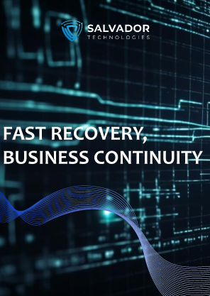 Fast Recovery Business Continuity