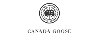canada-goose